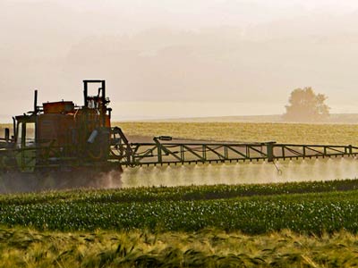 Bolsas especiales para productos del campo
